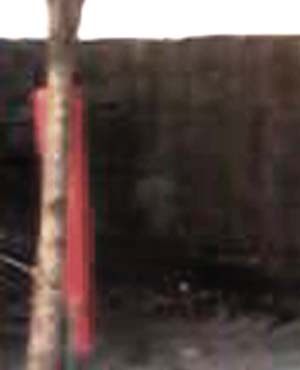 e0103408_18481280.jpg
