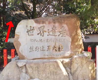 e0103408_1849228.jpg