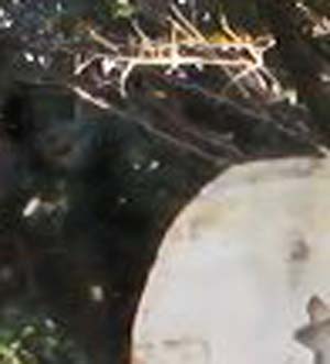 e0103408_1849822.jpg
