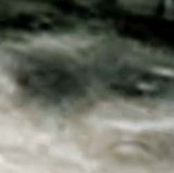 e0103408_1927319.jpg