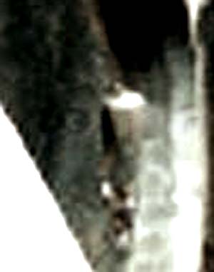 e0103408_19373657.jpg