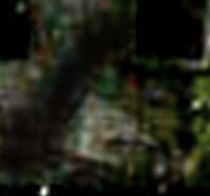 e0103408_19381099.jpg