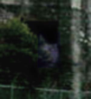 e0103408_19392951.jpg