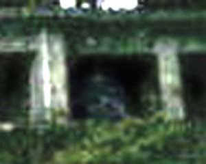 e0103408_19394514.jpg