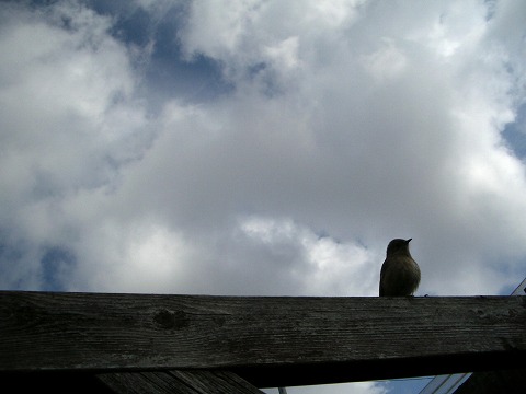 c0190010_202769.jpg