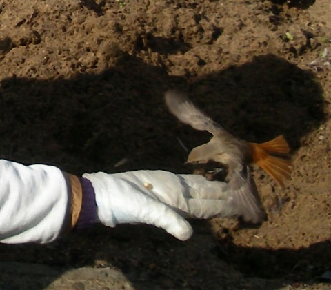 c0190010_20312770.jpg