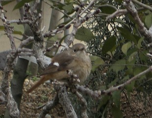 c0190010_20463159.jpg