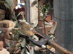 c0190010_2059039.jpg