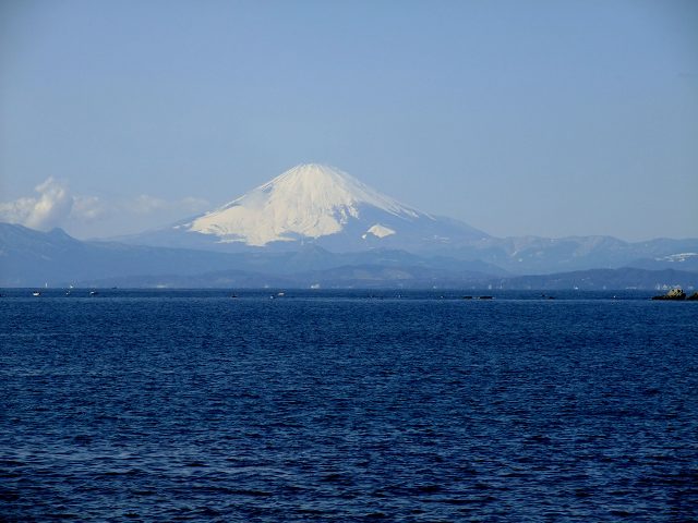 d0175710_1861144.jpg