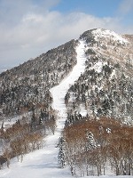 f0100911_21492761.jpg