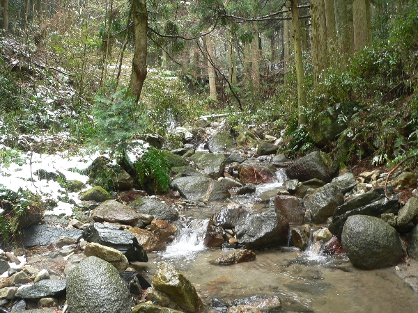 e0002314_2028377.jpg