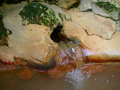 f0121115_22144149.jpg
