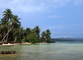 a0043520_23304080.jpg