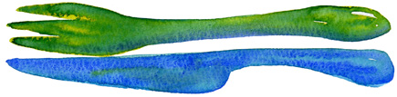 f0135024_2241110.jpg