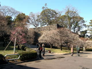 c0039428_17564067.jpg