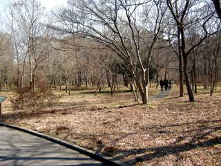 c0039428_17565080.jpg
