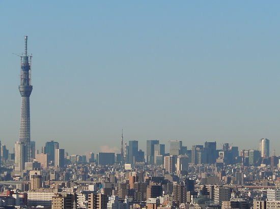 c0117831_1941522.jpg
