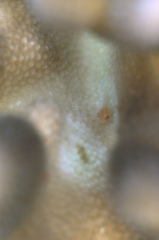b0042837_20405126.jpg