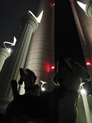 c0119142_64868.jpg