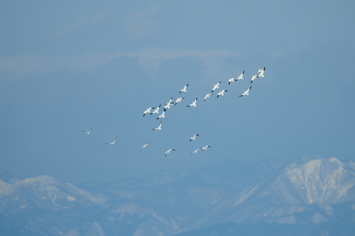 a0039245_21441550.jpg