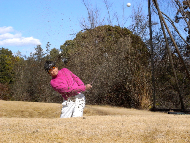 c0067646_005061.jpg