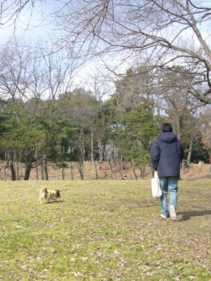 e0100046_1616266.jpg