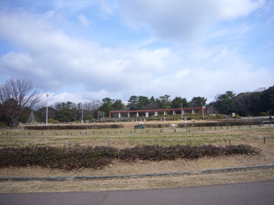 e0100046_1623897.jpg