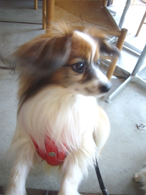 e0100046_16313985.jpg