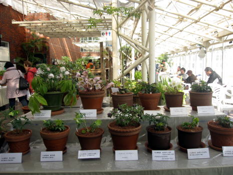 c0147952_0352170.jpg