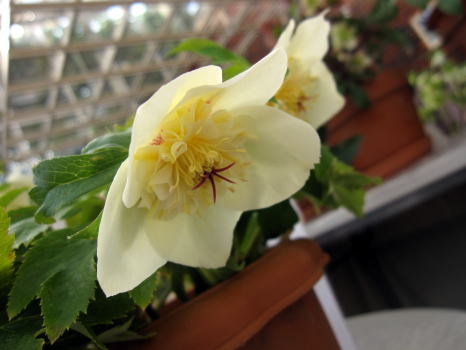 c0147952_052282.jpg