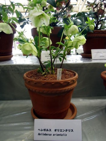 c0147952_056858.jpg