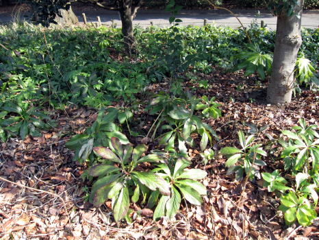 c0147952_1113094.jpg