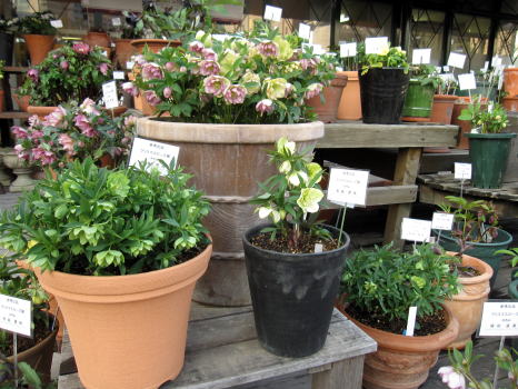 c0147952_22493183.jpg