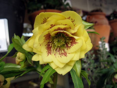 c0147952_22502933.jpg