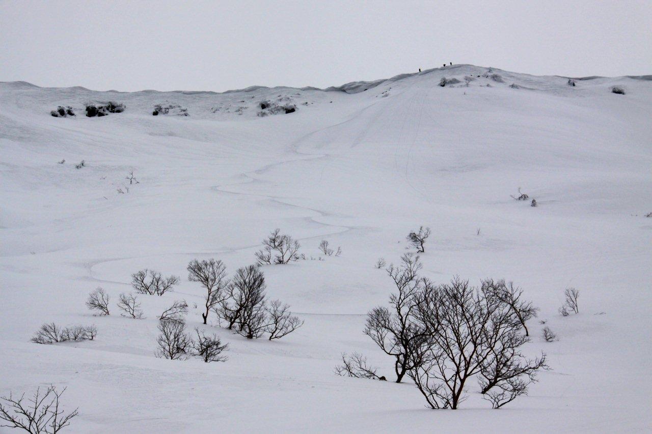 e0070552_214319.jpg