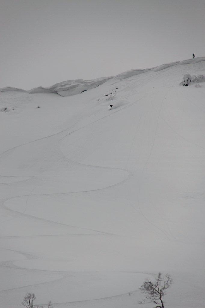 e0070552_21733100.jpg
