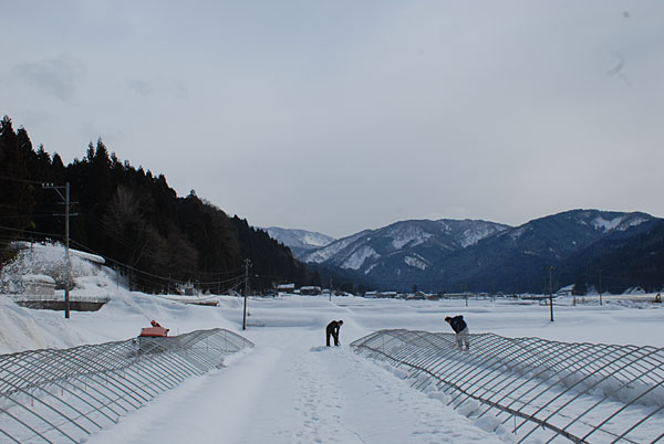c0145453_0212743.jpg