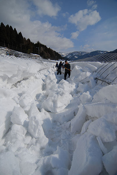 c0145453_0242341.jpg
