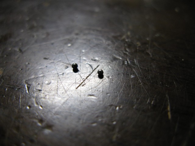 d0173255_0353411.jpg