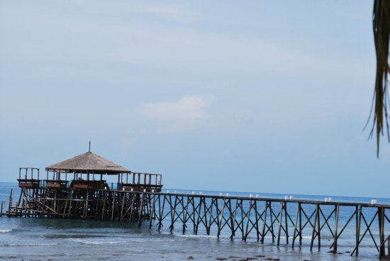 e0190057_11472137.jpg