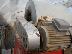 f0055264_20264995.jpg