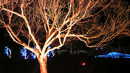 c0171468_22445061.jpg