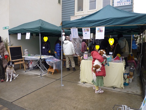 d0004968_23322615.jpg
