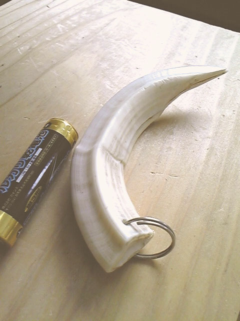 e0118274_1115690.jpg
