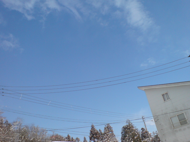 d0182179_18154053.jpg