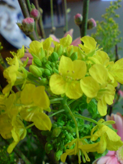 d0182179_18334119.jpg