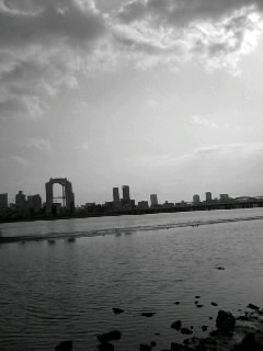f0100480_21385799.jpg