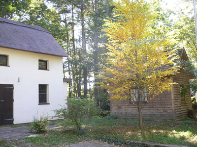 f0166982_20481537.jpg