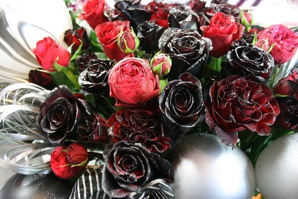 e0146584_2163536.jpg