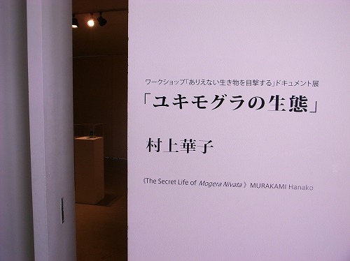 a0003089_19311510.jpg